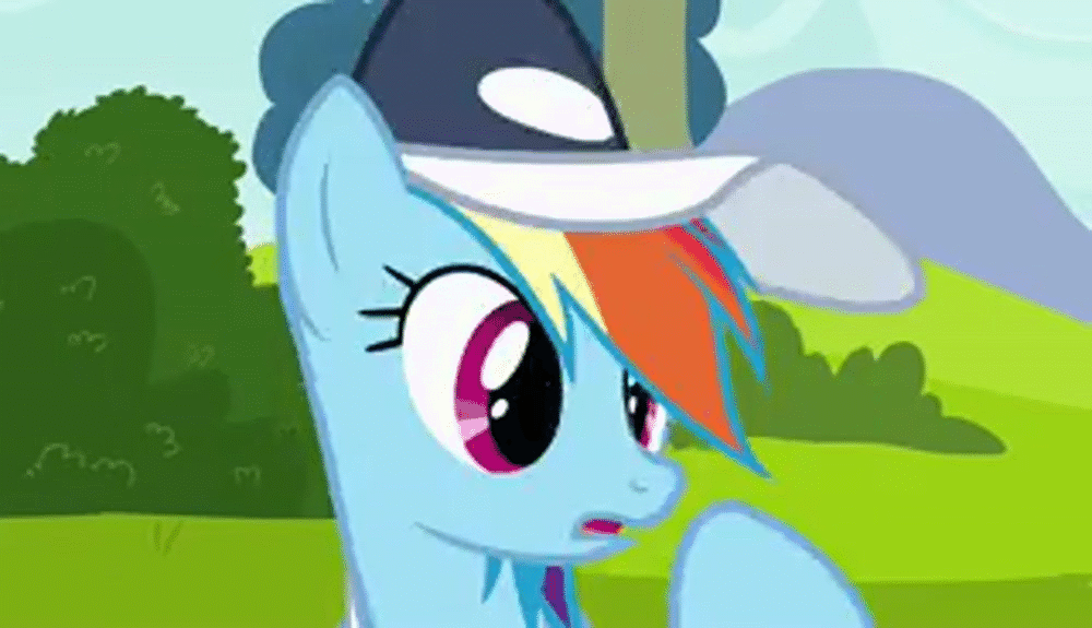 Size: 1000x575 | Tagged: safe, screencap, character:compass star, character:rainbow dash, character:white lightning, species:pegasus, species:pony, episode:hurricane fluttershy, g4, my little pony: friendship is magic, animated, background pony, clothing, female, hat, male, mare, rainbow dashs coaching whistle, sad, solo, stallion, whistle, whistle necklace, wingboner
