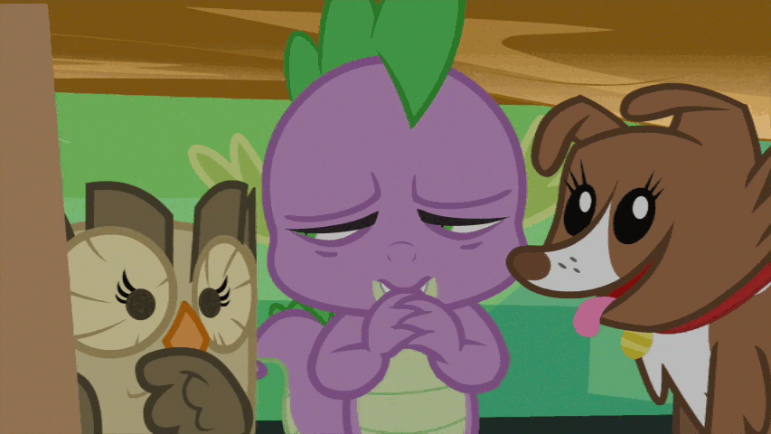 Size: 853x480 | Tagged: safe, screencap, character:owlowiscious, character:spike, character:winona, episode:just for sidekicks, g4, my little pony: friendship is magic, animated, female, licking, male