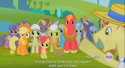 Size: 1395x762 | Tagged: safe, screencap, character:apple bloom, character:applejack, character:big mcintosh, character:cultivar, character:flim, character:granny smith, character:jinx, species:earth pony, species:pony, episode:leap of faith, g4, my little pony: friendship is magic, hub logo, male, meme, not coco, stallion, youtube caption