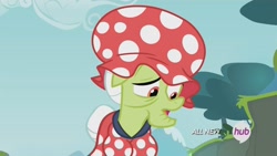 Size: 1920x1080 | Tagged: safe, screencap, character:granny smith, episode:leap of faith, g4, my little pony: friendship is magic, all new, breasts, busty granny smith, clothing, female, hat, hub logo, misplaced boobs, out of context, quadrupedal chest boobs, raised eyebrow, solo, swimming cap, swimsuit