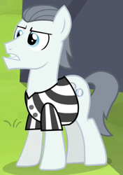 Size: 254x361 | Tagged: safe, screencap, character:silver shill, episode:leap of faith, g4, my little pony: friendship is magic, solo