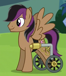Size: 729x837 | Tagged: safe, screencap, character:stellar eclipse, species:pegasus, species:pony, episode:trade ya, g4, my little pony: friendship is magic, cropped, handicapped, male, solo, spread wings, stallion, wheelchair, wings