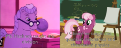 Size: 869x346 | Tagged: safe, screencap, character:cheerilee, character:miss hackney, episode:call of the cutie, g1, g4, my little pony tales, my little pony: friendship is magic, image macro, math, quantum mechanics