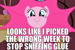 Size: 900x600 | Tagged: safe, screencap, character:pinkie pie, episode:party of one, g4, my little pony: friendship is magic, airplane!, c:, caption, glue, happy, image macro, implied, smiling, solo