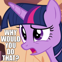 Size: 720x720 | Tagged: safe, screencap, character:twilight sparkle, character:twilight sparkle (alicorn), species:alicorn, species:pony, episode:testing testing 1-2-3, g4, my little pony: friendship is magic, caption, female, image macro, mare, meme, reaction image, solo, why would you do that