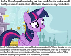 Size: 1280x1002 | Tagged: safe, screencap, character:twilight sparkle, character:twilight sparkle (alicorn), species:alicorn, analysis, bronybait, cuddle studies, cuddling, snuggling, solo, text