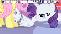 Size: 960x540 | Tagged: safe, screencap, character:fluttershy, character:opalescence, character:rarity, cat, image macro, meme