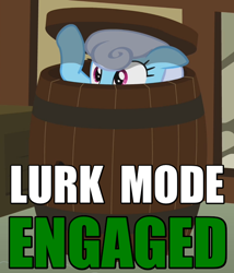 Size: 600x700 | Tagged: safe, screencap, character:linky, character:shoeshine, episode:it's about time, g4, my little pony: friendship is magic, barrel, caption, hiding, lurking, solo