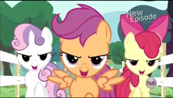 Size: 1280x720 | Tagged: safe, screencap, character:apple bloom, character:scootaloo, character:sweetie belle, species:pegasus, species:pony, episode:flight to the finish, g4, my little pony: friendship is magic, cutie mark crusaders, evil grin, faec, grin, hearts as strong as horses, hub logo, looking at you, open mouth, smiling, spread wings, wings