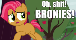 Size: 850x450 | Tagged: safe, screencap, character:babs seed, species:earth pony, species:pony, episode:apple family reunion, g4, my little pony: friendship is magic, anti-bronybait, caption, female, filly, image macro, implied, meme, meta, running, running away, scared, self deprecation, solo, vulgar