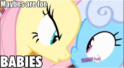 Size: 856x472 | Tagged: safe, screencap, character:fluttershy, character:linky, character:shoeshine, species:earth pony, species:pegasus, species:pony, episode:putting your hoof down, g4, my little pony: friendship is magic, background pony, caption, female, hub logo, image macro, impact font, mare, maybes are for babies, quote, roflbot, text