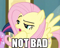 Size: 500x402 | Tagged: safe, screencap, character:fluttershy, character:twilight sparkle, episode:read it and weep, g4, my little pony: friendship is magic, not bad, reaction image, solo