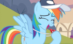 Size: 640x384 | Tagged: safe, screencap, character:rainbow dash, episode:hurricane fluttershy, g4, my little pony: friendship is magic, blowing, cap, clothing, coach, cropped, cute, dashabetes, hat, rainblow dash, rainbow dashs coaching whistle, smiling, solo, whistle, whistle necklace