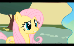 Size: 1024x640 | Tagged: safe, screencap, character:fluttershy, character:princess celestia, episode:a bird in the hoof, g4, my little pony: friendship is magic, cupid, youtube caption