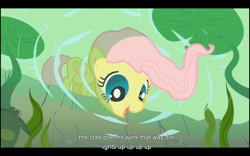 Size: 1024x640 | Tagged: safe, screencap, character:fluttershy, episode:the cutie mark chronicles, g4, my little pony: friendship is magic, youtube caption