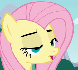 Size: 801x717 | Tagged: safe, screencap, character:fluttershy, species:pony, bust, cropped, derp, female, lidded eyes, mare, open mouth, solo, three quarter view