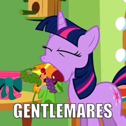 Size: 640x640 | Tagged: safe, screencap, character:twilight sparkle, episode:green isn't your color, g4, my little pony: friendship is magic, apple, artifact, banana, carrot, cherry, eyes closed, food, fruit, gentlemen, grapes, image macro, meme, mouth hold, orange, pie, vegetables