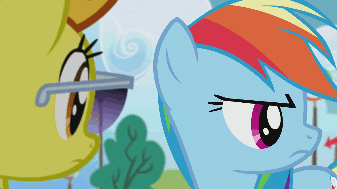 Size: 1152x648 | Tagged: safe, screencap, character:rainbow dash, character:spitfire, episode:rainbow falls, g4, my little pony: friendship is magic, animated, close-up, loyalty, obstacle course, rejection, sunglasses, wonderbolts