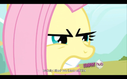Size: 768x480 | Tagged: safe, screencap, character:fluttershy, episode:putting your hoof down, g4, my little pony: friendship is magic, hub logo, youtube caption