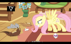 Size: 768x480 | Tagged: safe, screencap, character:fluttershy, episode:putting your hoof down, g4, my little pony: friendship is magic, flutterrage, hub logo, tv rating, youtube caption