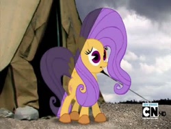 Size: 768x576 | Tagged: safe, screencap, character:fluttershy, cartoon network, expy, mad (tv series), mad magazine, my little war horse, pony cameo, pony reference, tent, youtube link