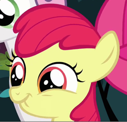 Size: 496x474 | Tagged: safe, screencap, character:apple bloom, episode:hearts and hooves day, g4, my little pony: friendship is magic, scrunchy face
