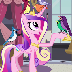 Size: 646x646 | Tagged: safe, screencap, character:constance, character:princess cadance, species:alicorn, species:bird, species:pony, episode:a canterlot wedding, g4, my little pony: friendship is magic, birdsong, blue jay, female, jewelry, mare, purple martin, regalia, songbird