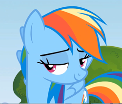 Size: 1260x1080 | Tagged: safe, screencap, character:rainbow dash, episode:rainbow falls, g4, my little pony: friendship is magic, season 4, lidded eyes, solo