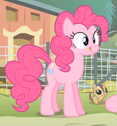 Size: 613x655 | Tagged: safe, screencap, character:pinkie pie, episode:filli vanilli, g4, my little pony: friendship is magic, chipmunk, reaction image, silly, solo