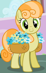 Size: 344x546 | Tagged: safe, screencap, character:junebug, episode:secret of my excess, g4, my little pony: friendship is magic, basket, cropped, flower, solo