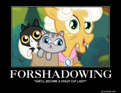 Size: 750x574 | Tagged: safe, screencap, episode:suited for success, g4, my little pony: friendship is magic, applesauce, cat, demotivational poster, foreshadowing, image macro, meme, quote, solo, text