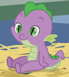 Size: 271x303 | Tagged: safe, screencap, character:spike, species:dragon, episode:the cutie mark chronicles, g4, my little pony: friendship is magic, baby, baby dragon, baby spike, cropped, cute, eyebrows, male, nest, newborn, outfit catalog, solo, spikabetes, young, younger