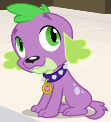 Size: 862x950 | Tagged: safe, screencap, character:spike, species:dog, my little pony:equestria girls, outfit catalog, solo, spike the dog