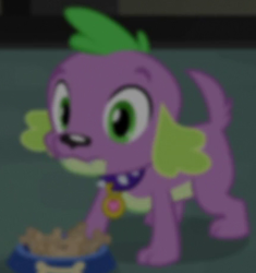 Size: 429x456 | Tagged: safe, screencap, character:spike, character:spike (dog), species:dog, equestria girls:rainbow rocks, g4, my little pony:equestria girls, food bowl, male, solo, spike's dog collar