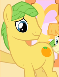 Size: 336x437 | Tagged: safe, screencap, character:aunt orange, character:uncle orange, episode:the cutie mark chronicles, g4, my little pony: friendship is magic