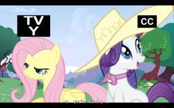Size: 960x600 | Tagged: safe, screencap, character:fluttershy, character:rarity, episode:a canterlot wedding, g4, my little pony: friendship is magic, youtube caption