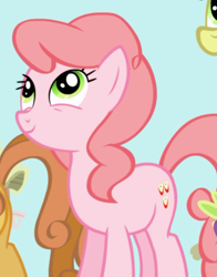 Size: 609x777 | Tagged: safe, screencap, character:pink lady, species:earth pony, species:pony, episode:friendship is magic, g4, my little pony: friendship is magic, apple family member, background pony, cropped, female, mare, pink, smiling, solo focus