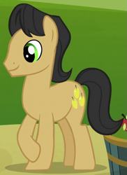 Size: 405x556 | Tagged: safe, screencap, character:golden delicious, species:earth pony, species:pony, episode:apple family reunion, g4, my little pony: friendship is magic, apple family member, background pony, cropped, male, solo, stallion