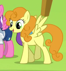 Size: 270x291 | Tagged: safe, screencap, character:carrot top, character:golden harvest, species:pegasus, species:pony, episode:rainbow falls, g4, my little pony: friendship is magic, animation error, background pony, missing cutie mark, wings