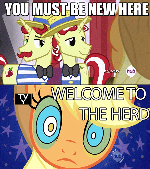 Size: 576x648 | Tagged: safe, screencap, character:applejack, character:flam, character:flim, episode:leap of faith, episode:the return of harmony, g4, my little pony: friendship is magic, animated, bow tie, caption, clothing, flim flam brothers, hat, hub logo, hubble, image macro, meme, meta, reaction image, the hub, tv rating, welcome to the herd, you must be new here