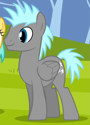 Size: 569x792 | Tagged: safe, screencap, character:sunshower raindrops, character:twilight sky, species:pegasus, species:pony, episode:hurricane fluttershy, g4, my little pony: friendship is magic, background pony, cropped, male, smiling, solo focus, stallion