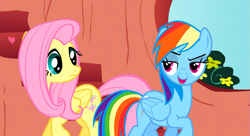 Size: 1099x597 | Tagged: safe, screencap, character:fluttershy, character:rainbow dash, episode:sonic rainboom, g4, my little pony: friendship is magic, bedroom eyes, front view, lidded eyes