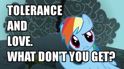 Size: 639x359 | Tagged: safe, screencap, character:rainbow dash, episode:dragonshy, g4, my little pony: friendship is magic, caption, image macro, love and tolerance