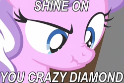 Size: 750x500 | Tagged: safe, screencap, character:diamond tiara, episode:ponyville confidential, g4, my little pony: friendship is magic, caption, close-up, image macro, nose wrinkle, pink floyd, scrunchy face, shine on you crazy diamond, solo, song, song reference