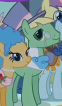 Size: 125x212 | Tagged: safe, screencap, species:earth pony, species:pony, episode:a canterlot wedding, g4, my little pony: friendship is magic, background pony, classy clover, male, pampered pearl, stallion