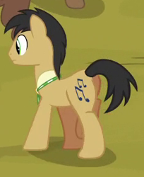 Size: 232x284 | Tagged: safe, screencap, species:earth pony, species:pony, episode:trade ya, g4, my little pony: friendship is magic, adante, background pony, cropped, male, solo focus, stallion