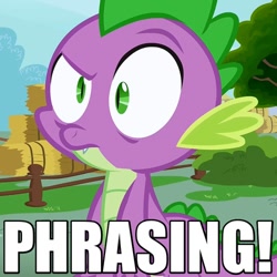 Size: 500x500 | Tagged: safe, screencap, character:spike, episode:just for sidekicks, g4, my little pony: friendship is magic, archer (show), caption, image macro, meme, phrasing, reaction image, reference, solo