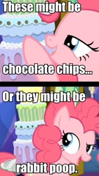 Size: 538x956 | Tagged: safe, screencap, character:pinkie pie, episode:castle sweet castle, g4, my little pony: friendship is magic, cake, chocolate chips, discovery family logo, food, image macro, meme, poop, seven-layer what's-that-flavour mystery surprise