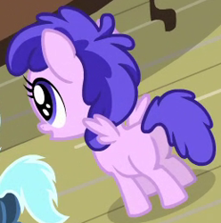Size: 259x261 | Tagged: safe, screencap, character:lightning flare, character:plumberry, species:pegasus, species:pony, episode:for whom the sweetie belle toils, background pony, cropped, female, filly, foal, solo focus