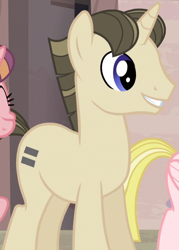 Size: 738x1032 | Tagged: safe, screencap, species:pony, species:unicorn, episode:the cutie map, g4, my little pony: friendship is magic, background pony, equal cutie mark, equalized mane, male, solo focus, stallion, unnamed pony